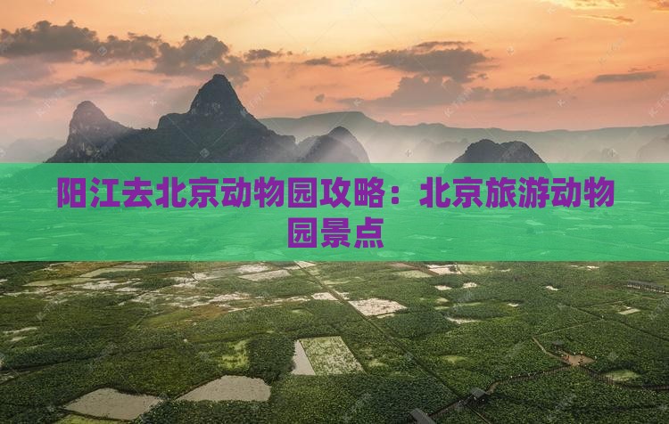 阳江去北京动物园景点