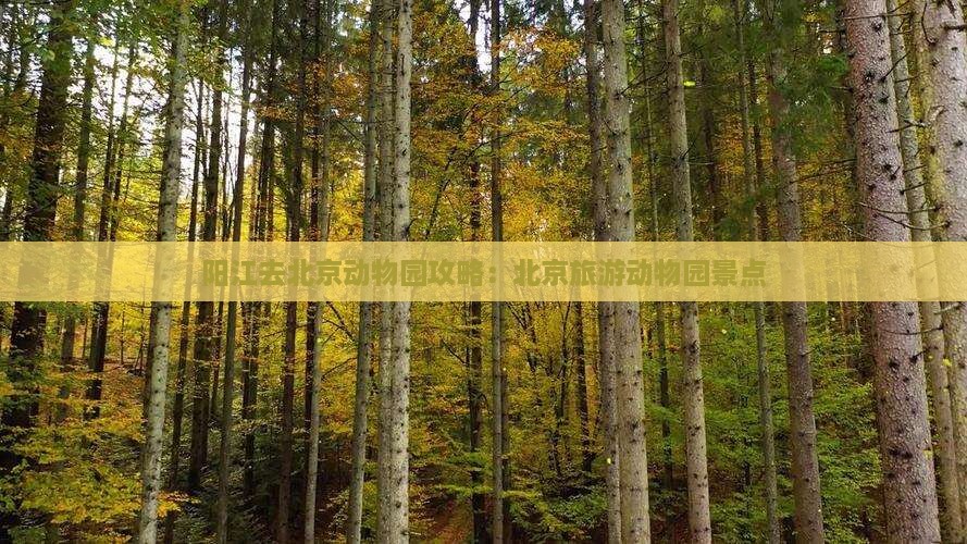 阳江去北京动物园景点