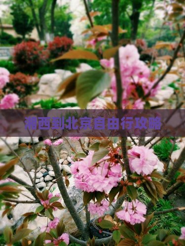 湘西到北京自由行攻略