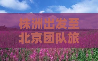 株洲出发至北京团队旅行攻略与预订