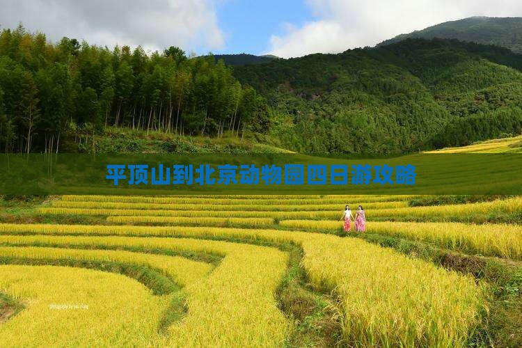 平顶山到北京动物园四日游攻略