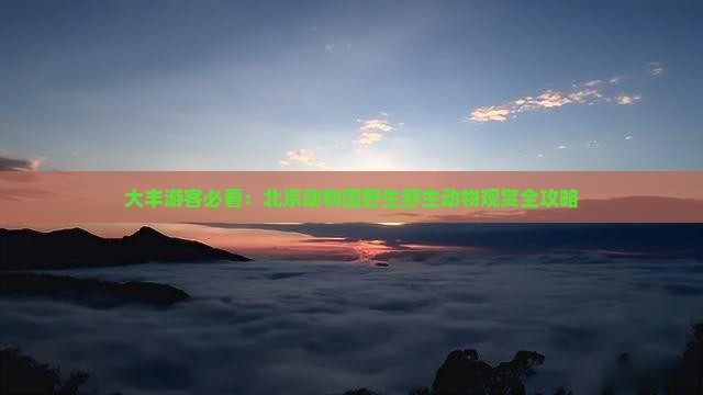 大丰游客必看：北京动物园野生野生动物观赏全攻略