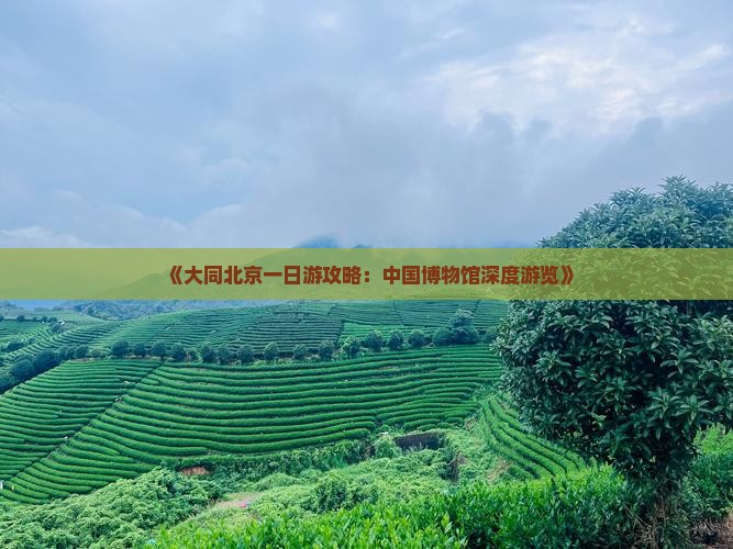 《大同北京一日游攻略：中国博物馆深度游览》