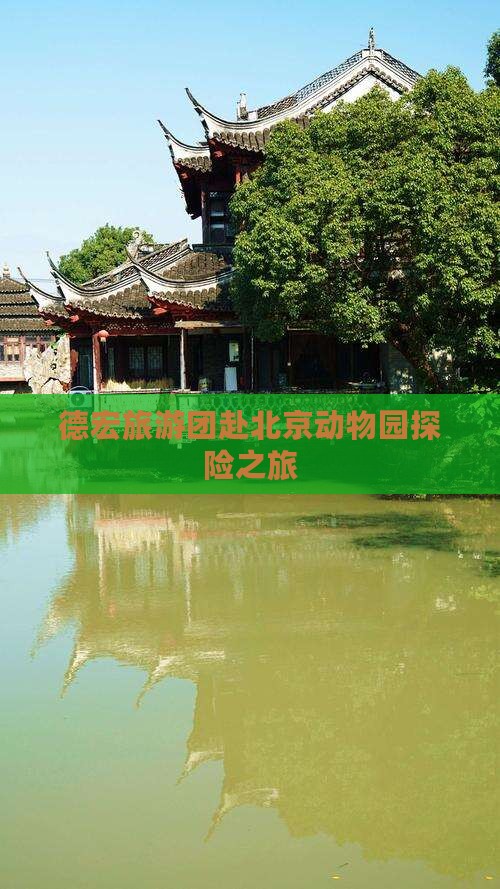 德宏旅游团赴北京动物园探险之旅