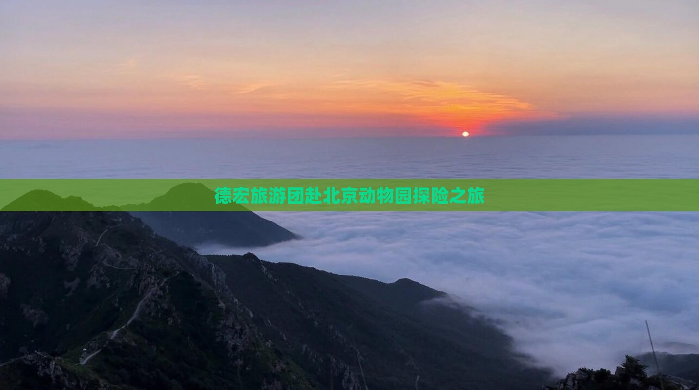 德宏旅游团赴北京动物园探险之旅