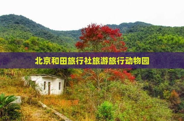 北京和田旅行社旅游旅行动物园