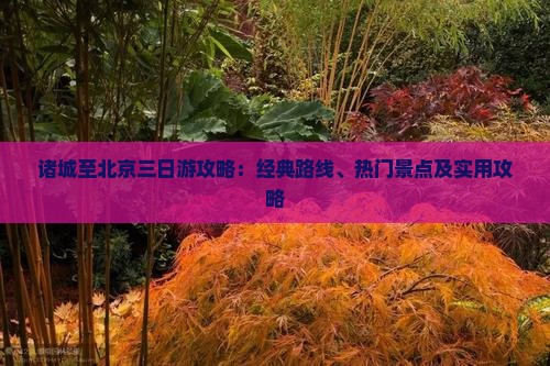 诸城至北京三日游攻略：经典路线、热门景点及实用攻略
