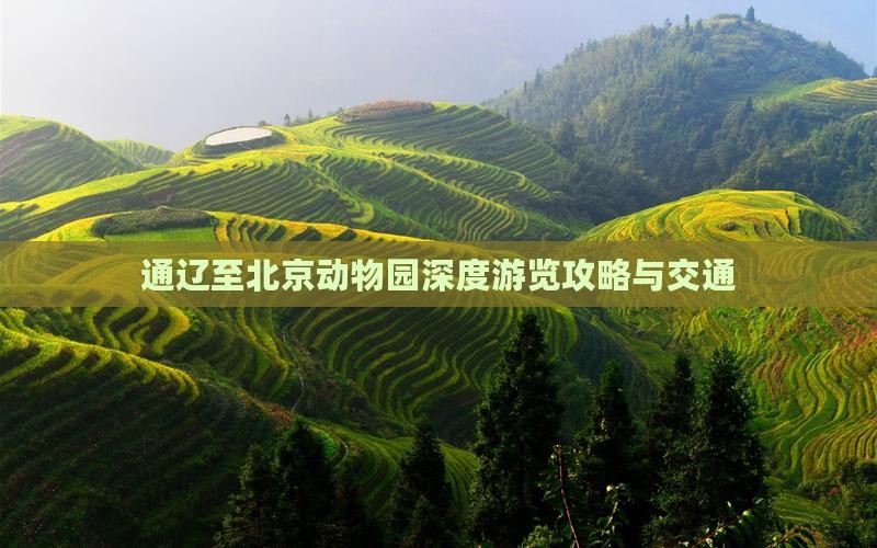 通辽至北京动物园深度游览攻略与交通