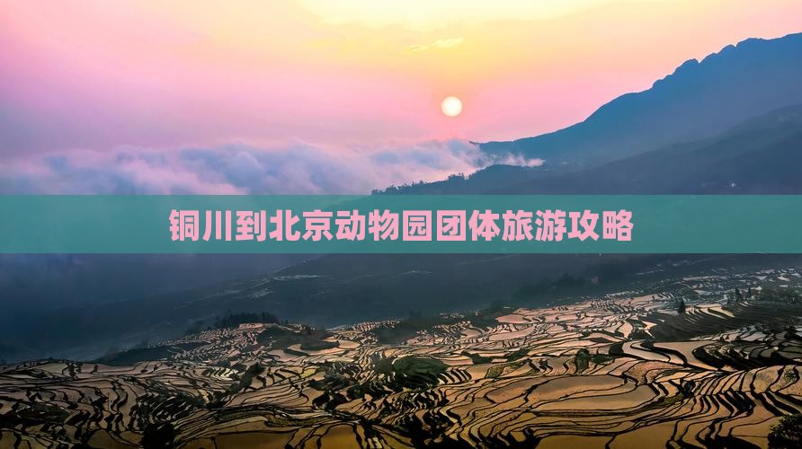 铜川到北京动物园团体旅游攻略