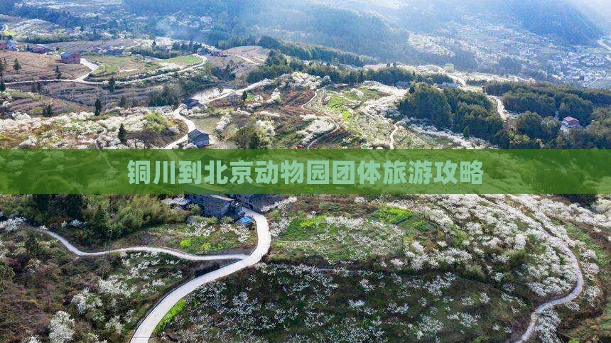 铜川到北京动物园团体旅游攻略