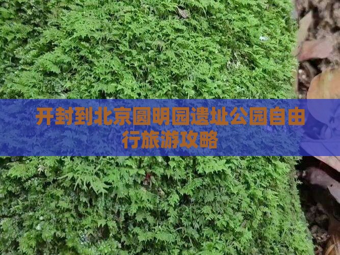 开封到北京圆明园遗址公园自由行旅游攻略