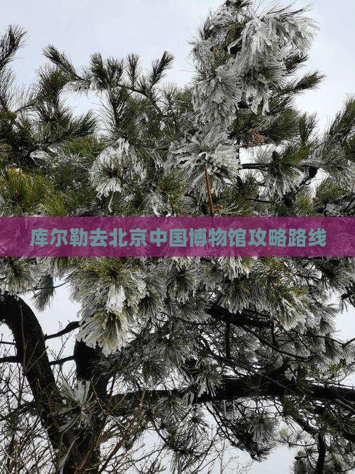 库尔勒去北京中国博物馆攻略路线
