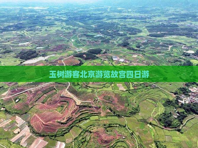 玉树游客北京游览故宫四日游