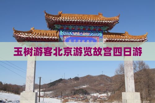 玉树游客北京游览故宫四日游