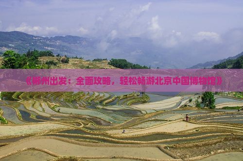 《郴州出发：全面攻略，轻松畅游北京中国博物馆》