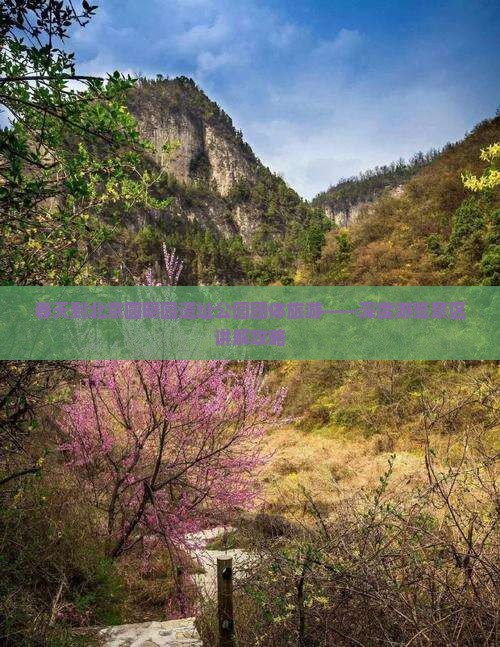 春天到北京圆明园遗址公园团体旅游——深度游览景区讲解攻略