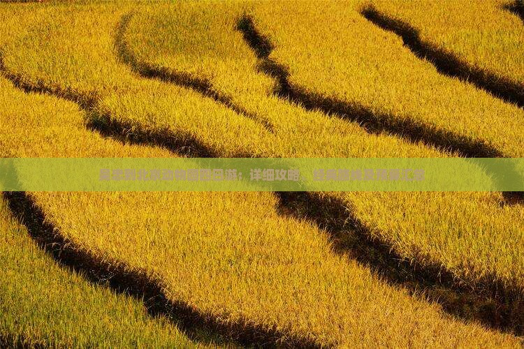 吴忠到北京动物园四日游：详细攻略、经典路线及预算汇总