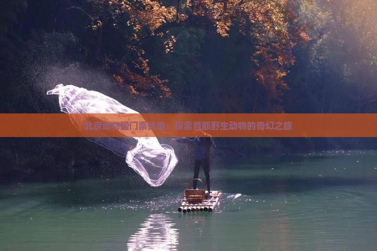 北京动物园门票优惠：探索首都野生动物的奇幻之旅