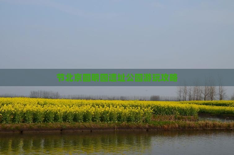 节北京圆明园遗址公园游玩攻略