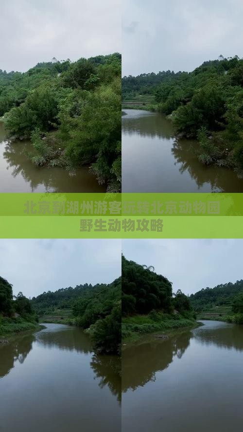 北京到湖州游客玩转北京动物园野生动物攻略