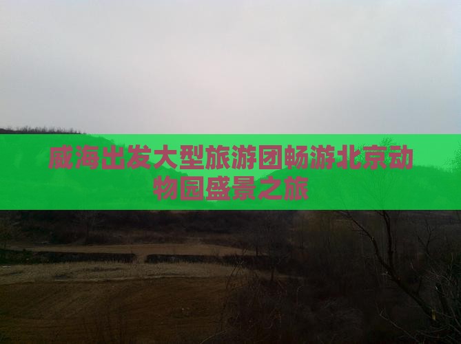 威海出发大型旅游团畅游北京动物园盛景之旅