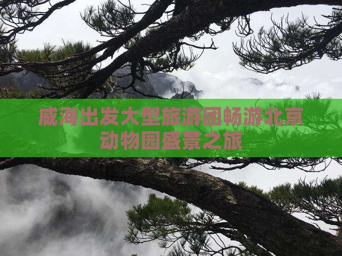 威海出发大型旅游团畅游北京动物园盛景之旅