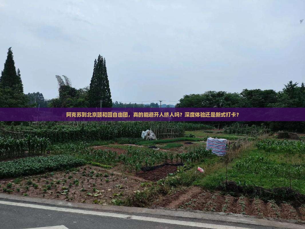 阿克苏到北京颐和园自由团