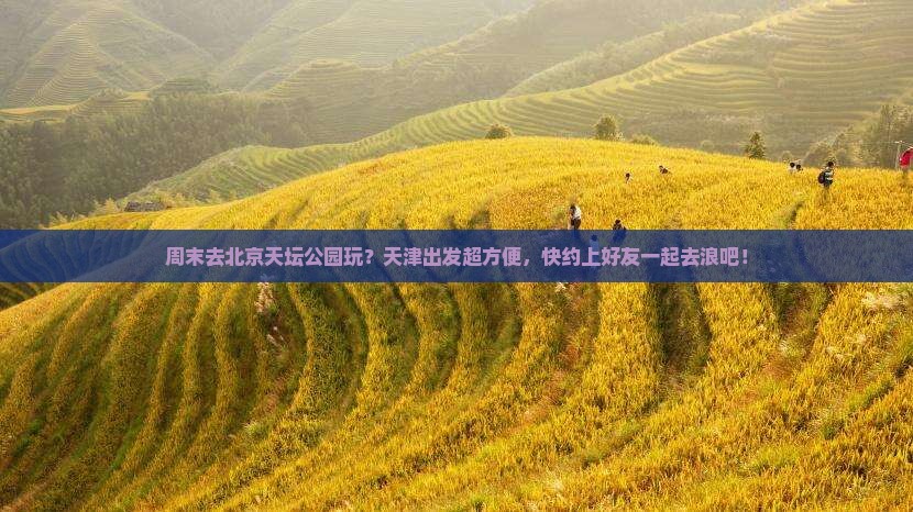 天津去北京天坛公园个人游