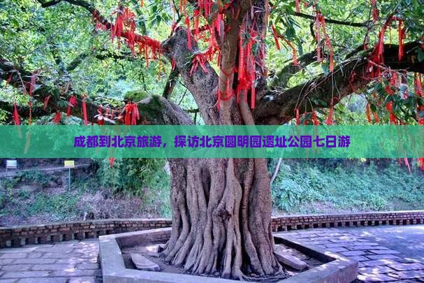 成都到北京圆明园遗址公园七日游