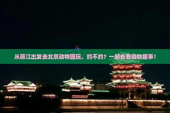 丽江到北京动物园自由团