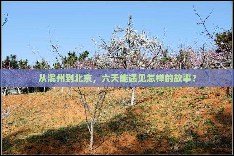 滨州去北京六日游