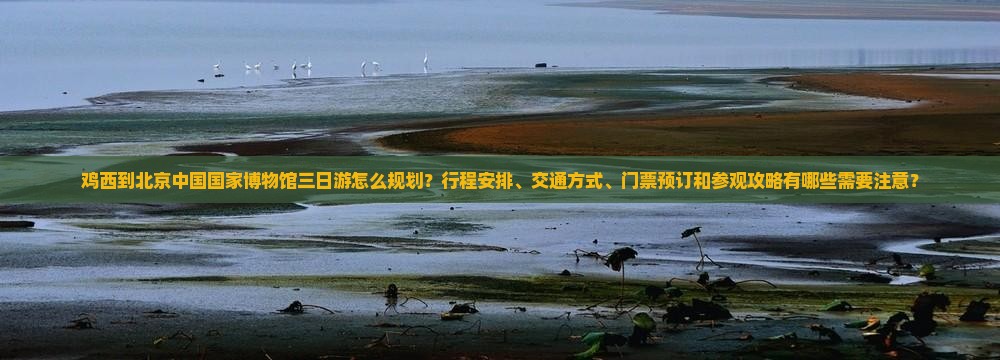 鸡西到北京中国国家博物馆三日游