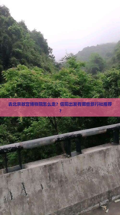 信阳到北京故宫博物院旅行社