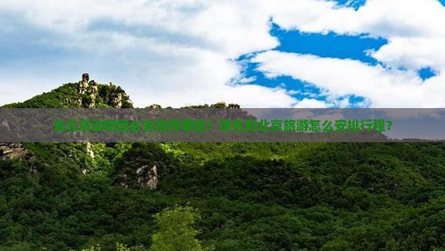 茂名去北京动物园必去地