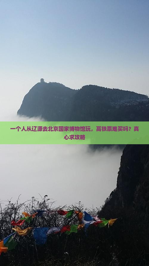 辽源去北京中国国家博物馆个人游