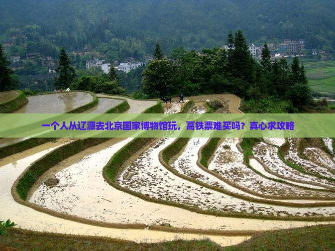 辽源去北京中国国家博物馆个人游