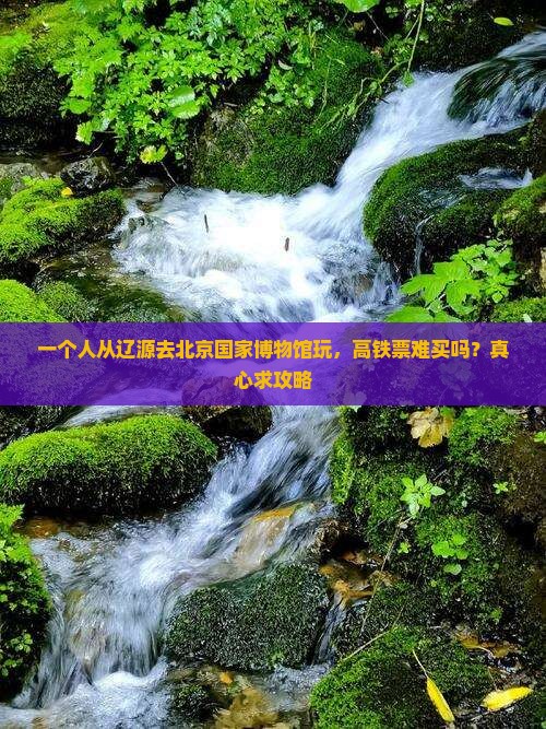 辽源去北京中国国家博物馆个人游