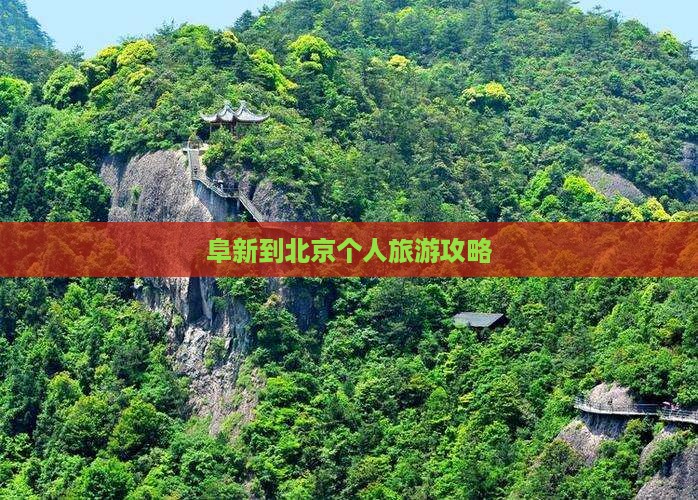 阜新到北京个人游