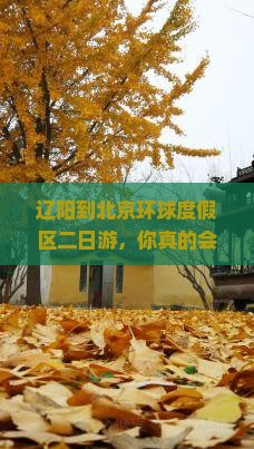 辽阳到北京环球度假区二日游
