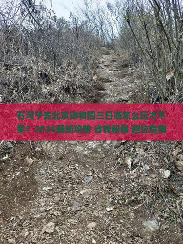 石河子去北京动物园三日游