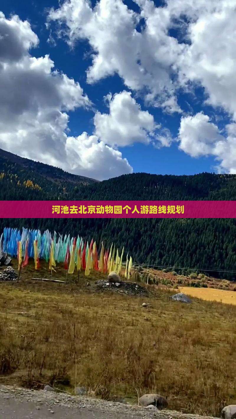 河池去北京动物园个人游