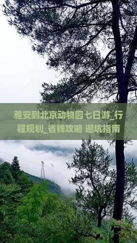 雅安到北京动物园七日游