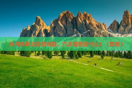 丹东到北京动物园六日游