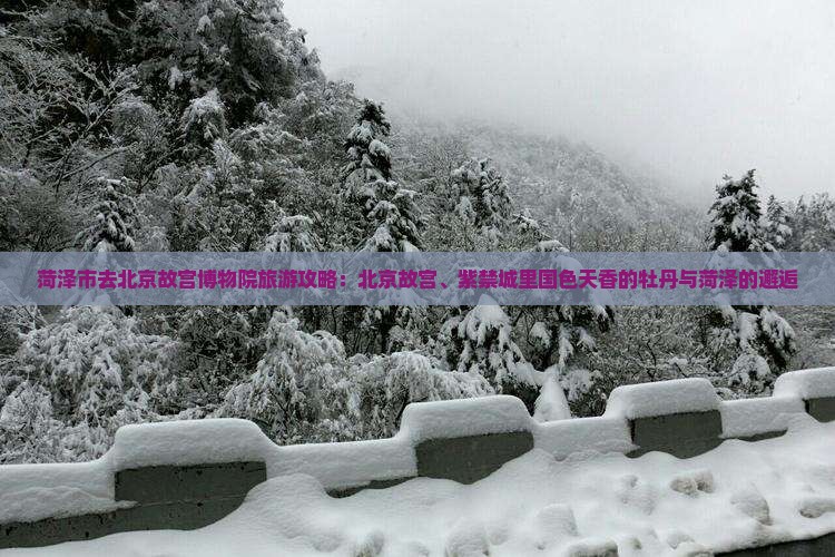 菏泽去北京故宫博物院哪里玩
