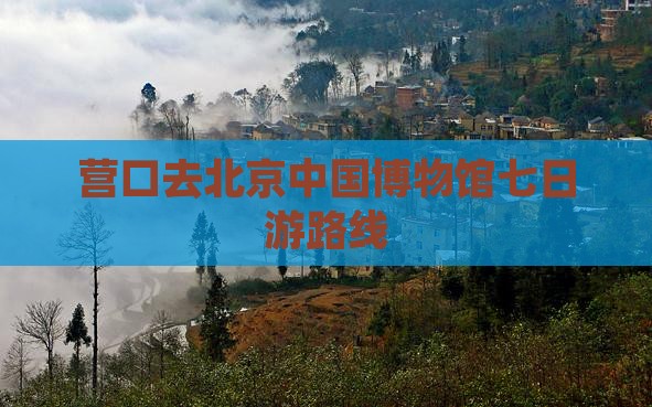 营口去北京中国国家博物馆七日游
