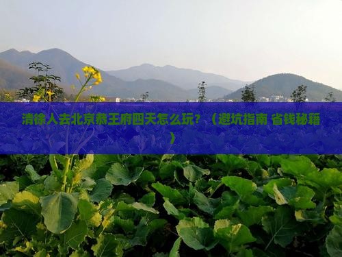 清徐去北京恭王府四日游