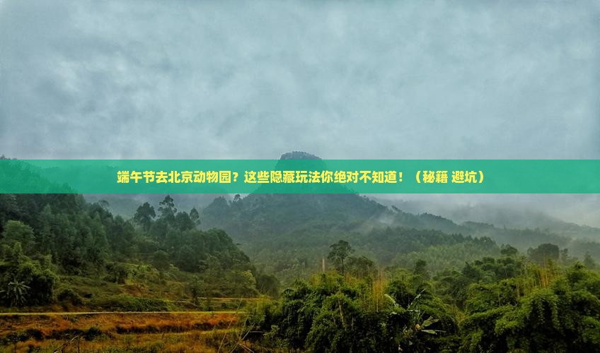 端午节去北京动物园旅游