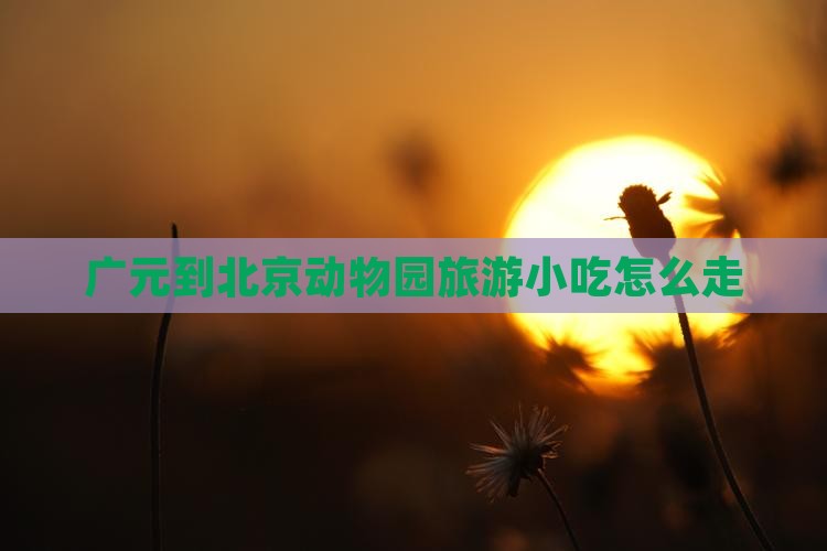 广元到北京动物园旅游小吃
