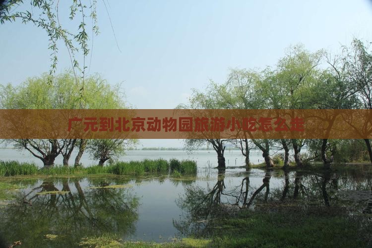 广元到北京动物园旅游小吃