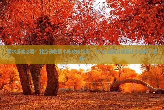 丽水到北京动物园旅游小吃